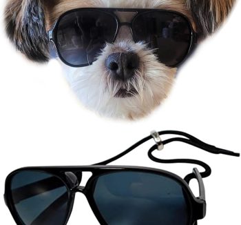 dog sunglasses