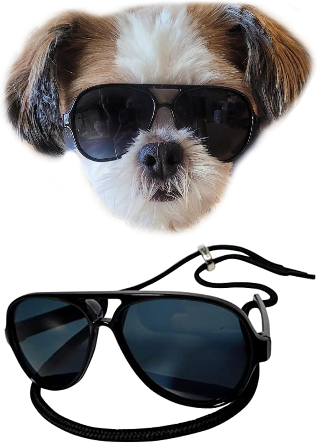 dog sunglasses
