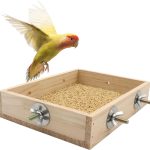 natural bird food
