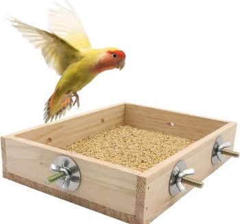 natural bird food