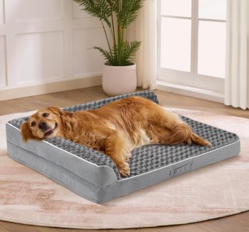 premium dog beds amazon