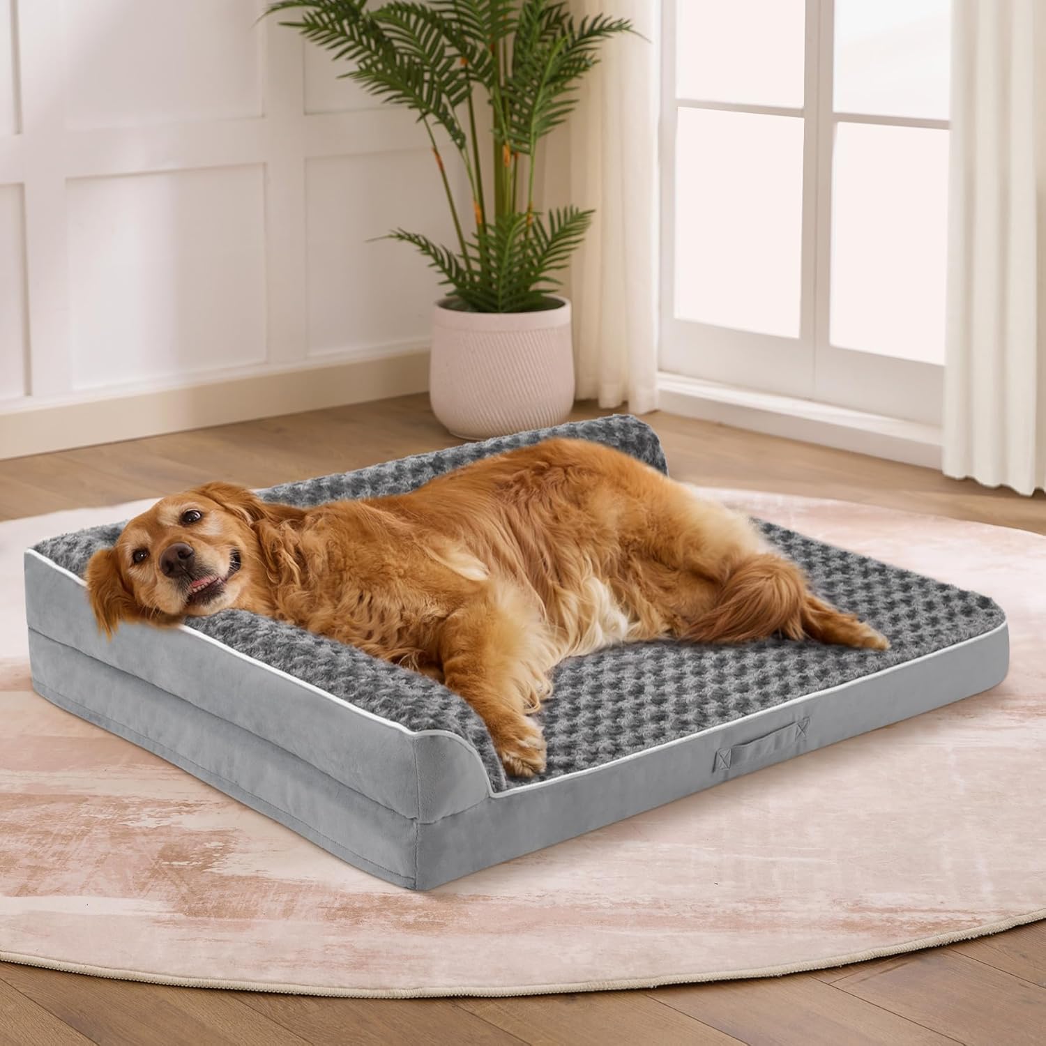 premium dog beds amazon