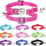 cat collar personalized