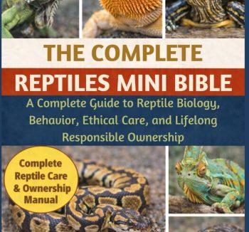 reptile food for beginners