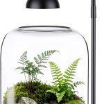 terrarium kit complete