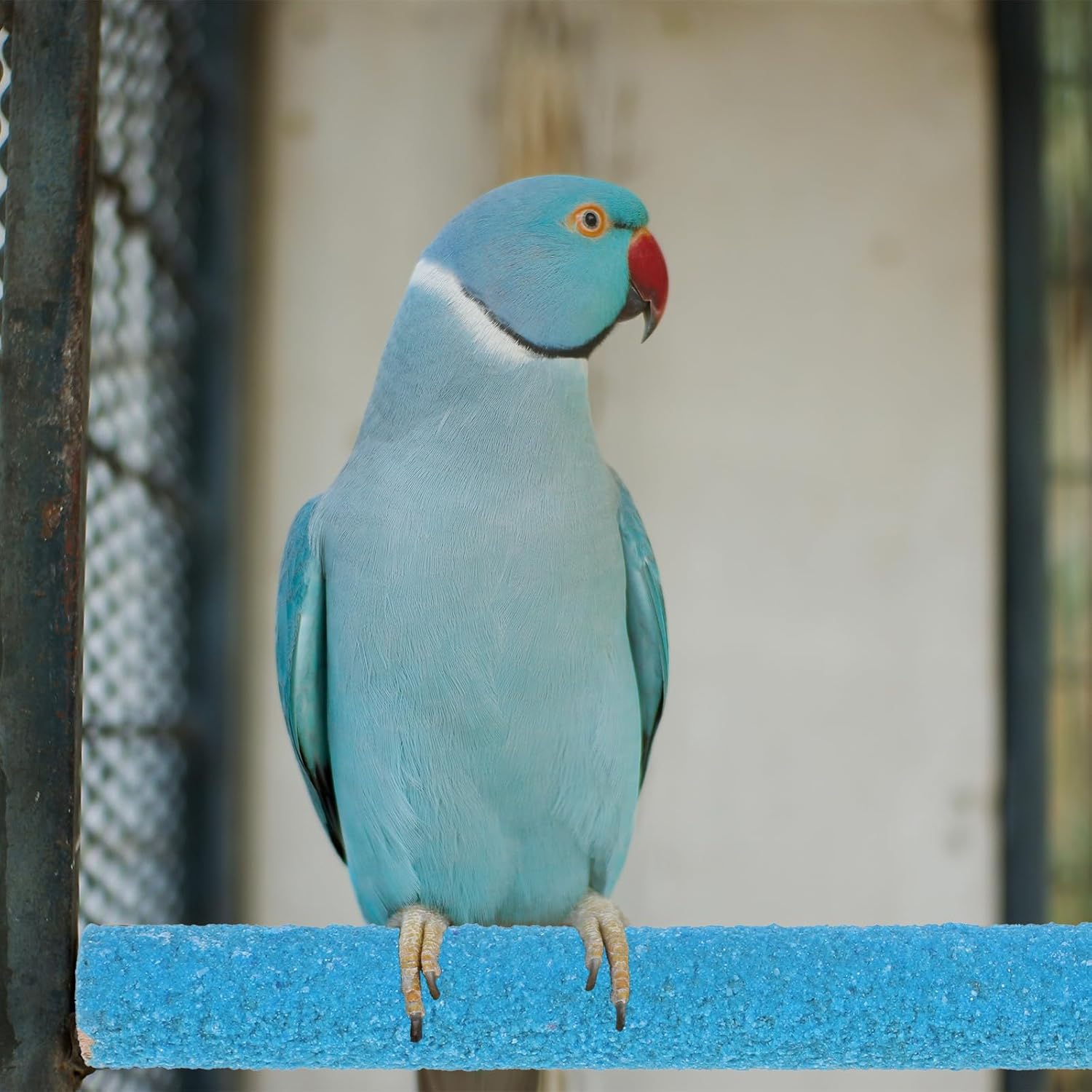 Bird Perches Stand for Cage, 2 Pcs Parrot Bird Cage Perch Toy Paw Grinding Stick Cages Wooden Grinding Claw Sticks Sanded Surface Cages Toy for Parakeets Finches Parakeet Toys Birdcage Accessories - Happypetzone.online - Image 4