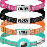 cat collar with name tag