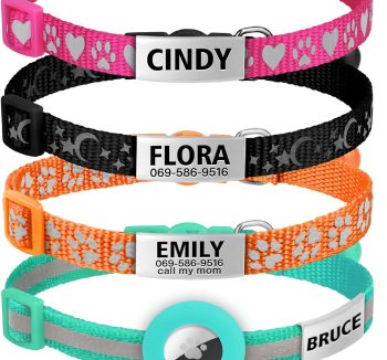 cat collar with name tag