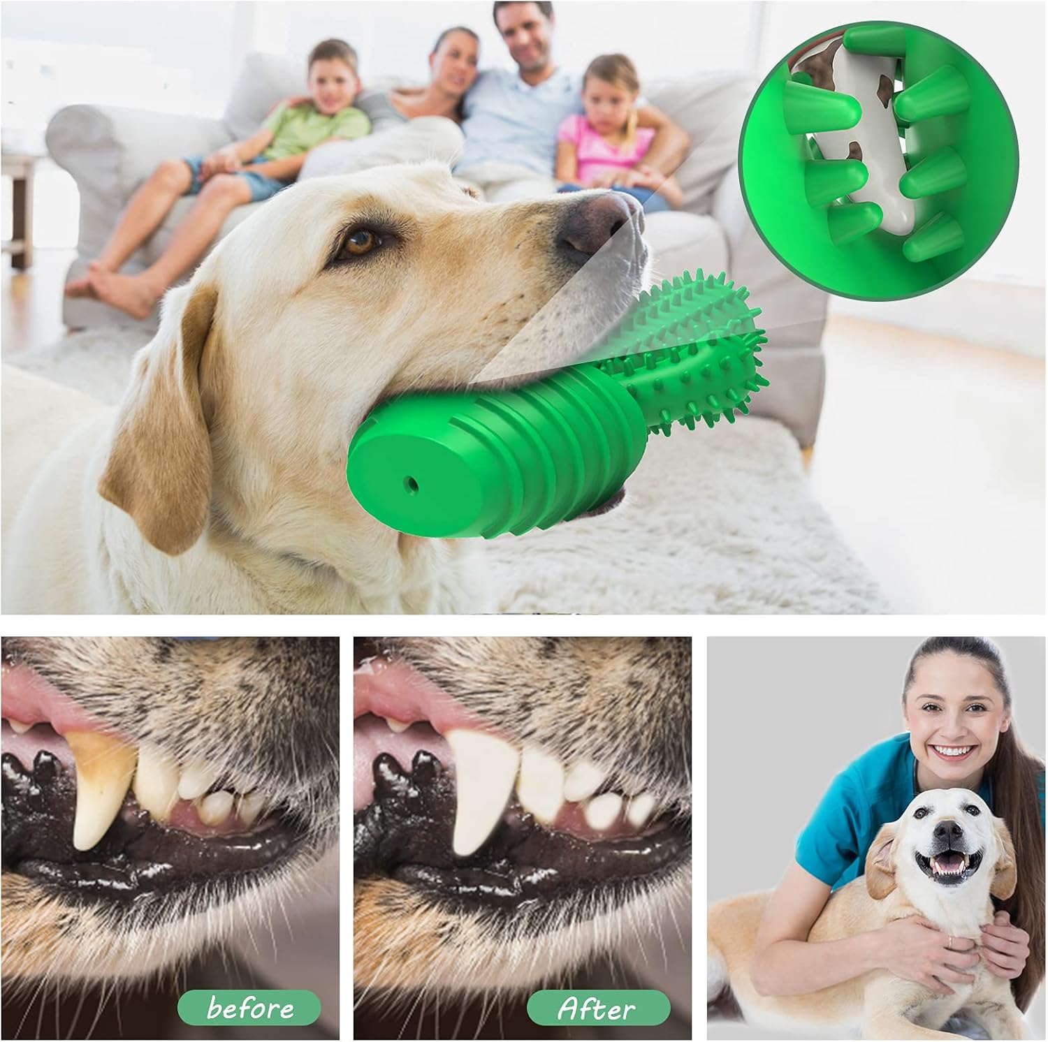 Pamlulu Dog Chew Toys Dog Toothbrush Stick Teeth Cleaning Brush Dental for Medium Large Dog, Puppy Christmas Easter Birthday Gifts, Outdoor Squeaky Toys for Aggressive Chewers Interactive Tough Toys - Happypetzone.online - Image 3
