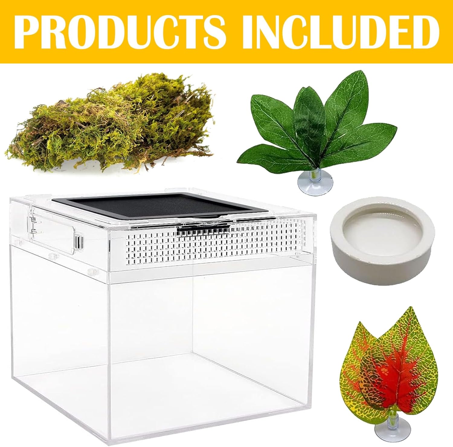 Reptile Terrarium, Jumping Spider Enclosure Starter Kit, Leopard Gecko Habitat Container, 8"x8"x7"Reptile Tank for Tarantula, Hermit Crab, Insect, Fish, Frog, Small Bearded Dragon, Lizard - Happypetzone.online - Image 2