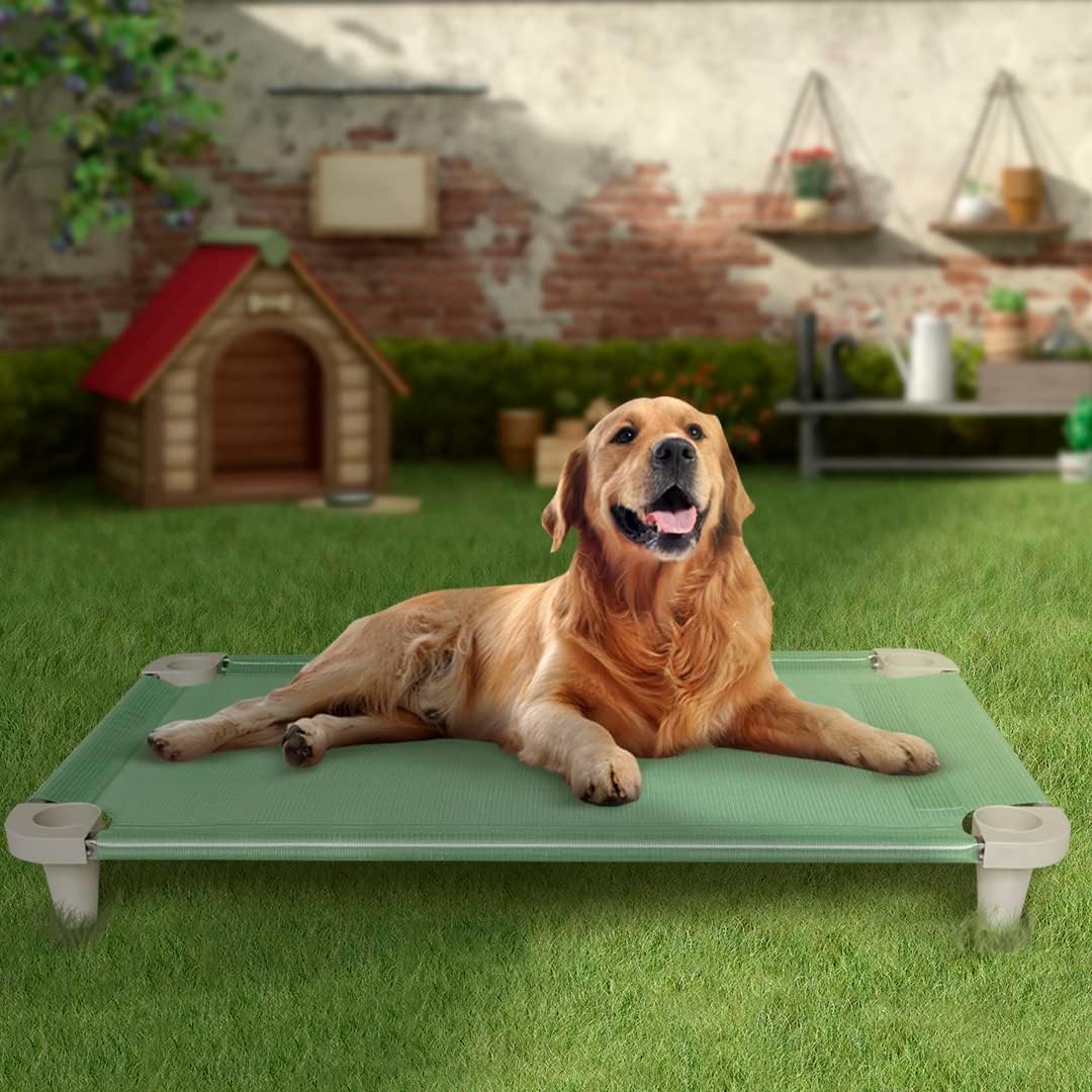 Acrimet Cooling Elevated Pet Dog Bed, Washable and Breathable Mesh Cot, Stainless Steel Frame, Indoor & Outdoor Use, fits Dogs up to 110 lbs (Size: 40” x 24”), Green, 1 Unit - Happypetzone.online - Image 3