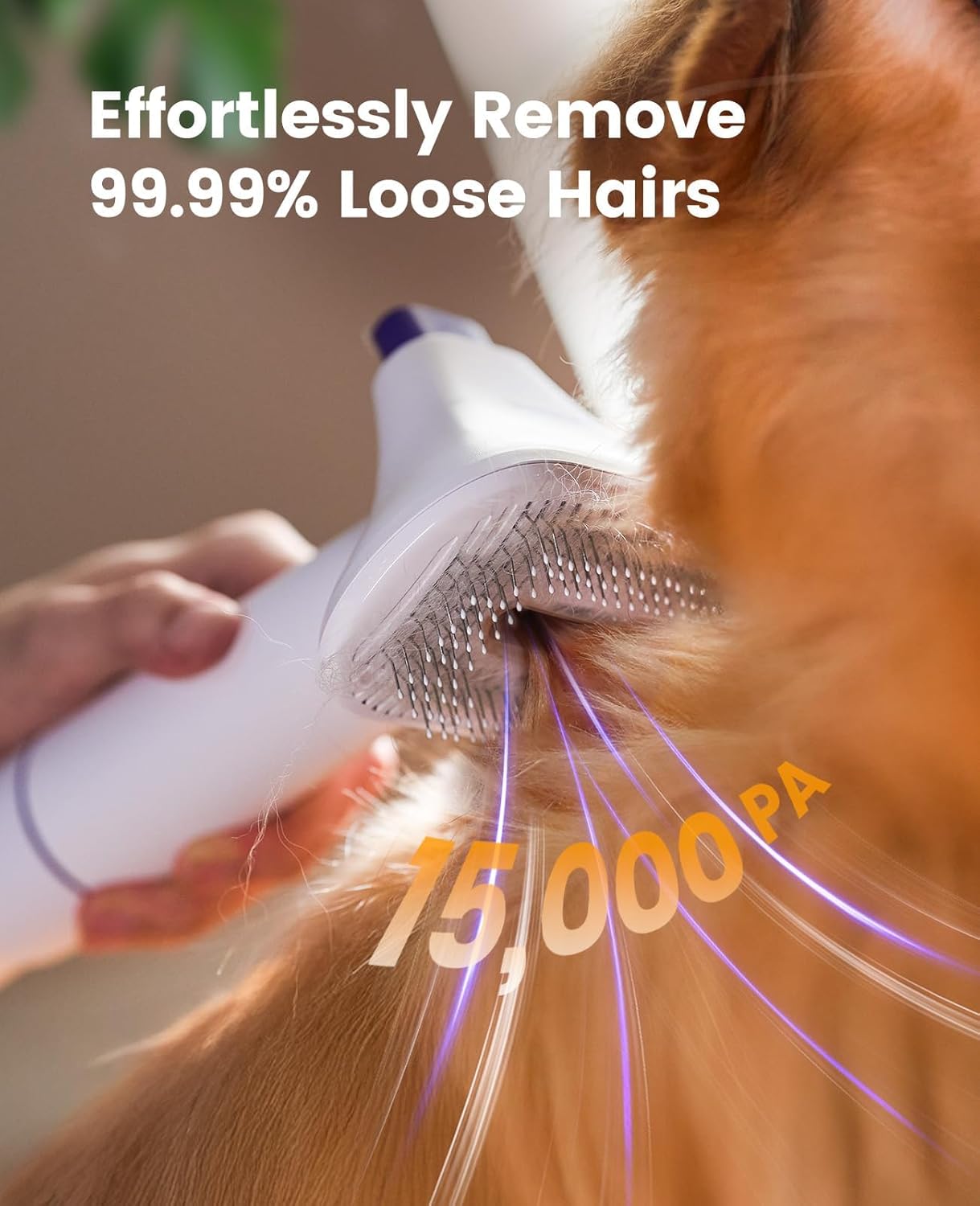 oneisall Dog Grooming Vacuum Kits: 15000Pa Shedding Brush with Grooming Tools, 3 Suction Low Noise, Pet Grooming Vacuum for Thick and Undercoat, 1.5L Dust Cup Dog Hair Vacuum, Home Cleaning, LM5 - Happypetzone.online - Image 3
