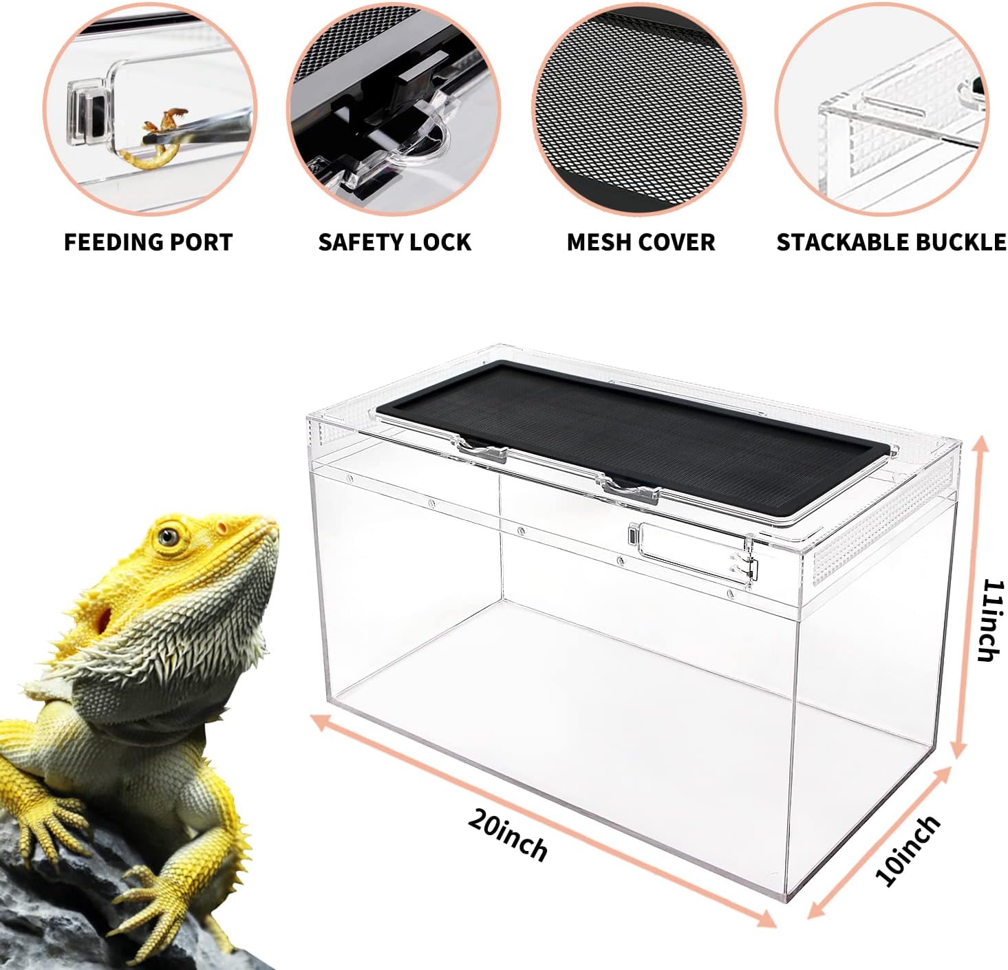 Reptile Growth Reptile Terrarium,10 Gallon Reptile Tank 20" x 10"x 11",for Insect,Fish,Tarantula,Hermit Crab,Jumping Spider,Iguana,Tortoise,Leopard Gecko,Bearded Dragon - Happypetzone.online - Image 3