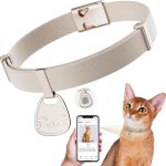 cat collar with name tag