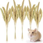 guinea pig health supplement
