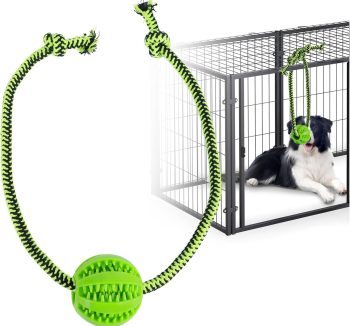dog crate training tools