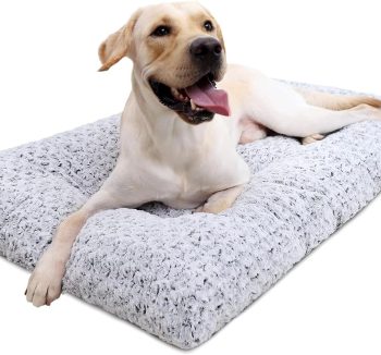 large dog bed washable