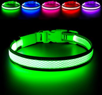 reflective dog collar