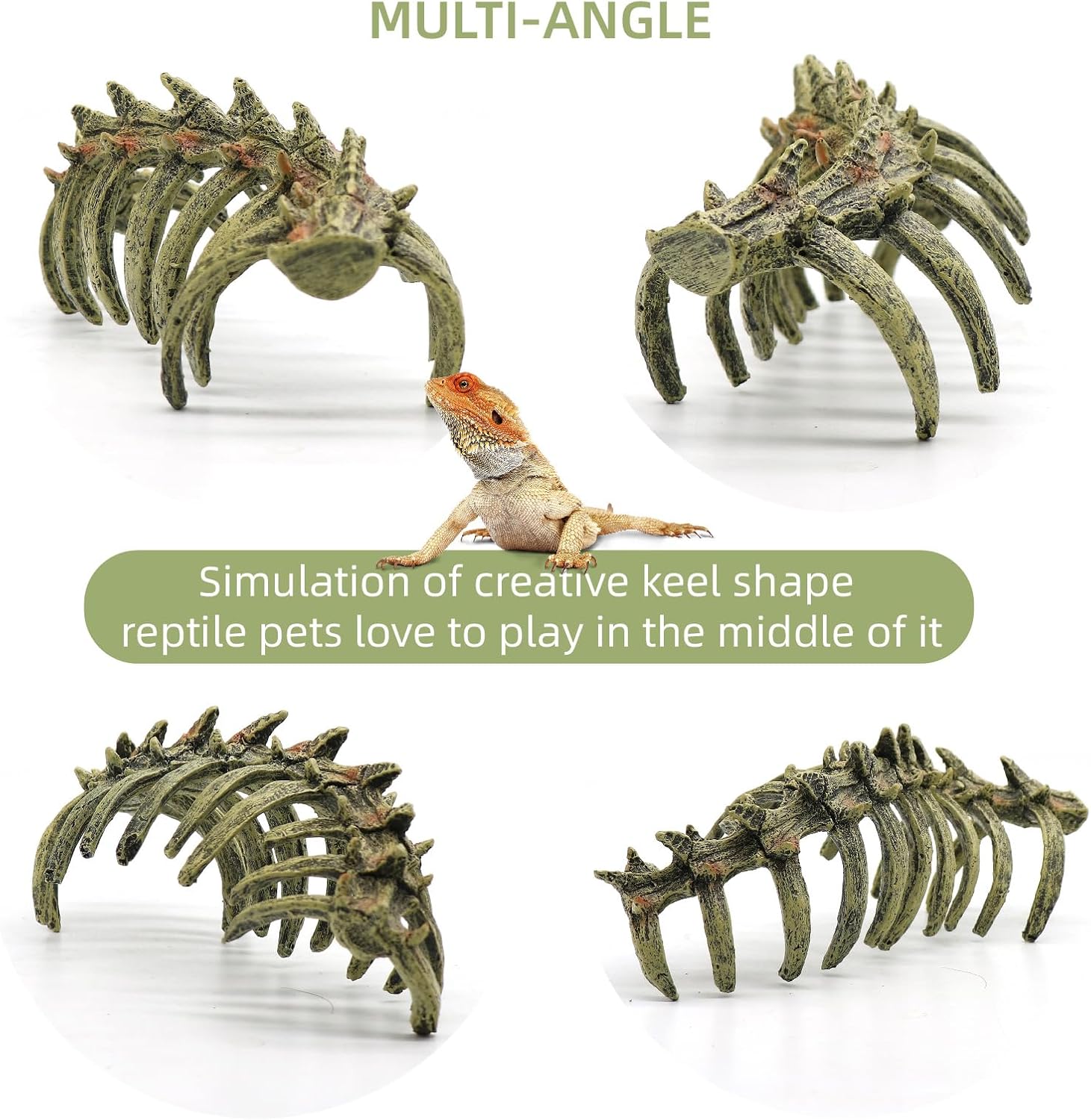 relaqcc Aquarium Skull Animal Skeletons, Reptile Tank Accessories, Fish Tank Decorations for Amphibians, Betta Fish, Shrimp, Hermit Crab, Leopard Gecko - Happypetzone.online - Image 6