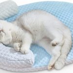 cat bed cooling