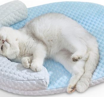 cat bed cooling