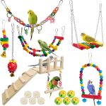 bird cage accessories set