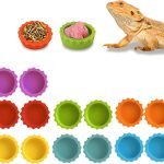reptile nutrition food