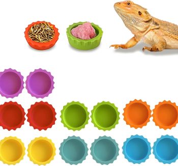reptile nutrition food