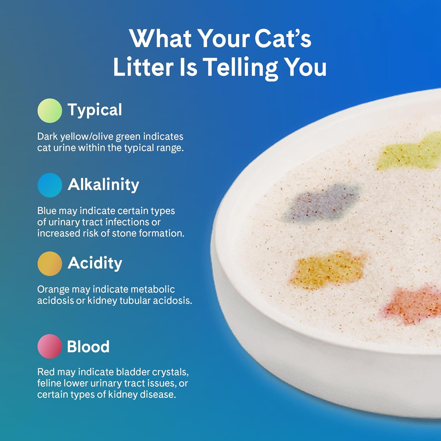 PrettyLitter Health Monitoring Cat Litter (Unscented, Non Clumping) | Lightweight & Low Tracking, Color Changing Silica Gel Crystals, Advanced Odor Control — 6 Lbs, Pack of 1 (Up to 1 Month Supply) - Happypetzone.online - Image 6