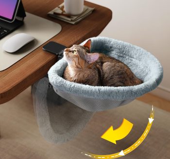 cat resting furniture