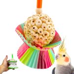 bird treats healthy