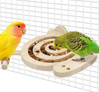 bird enrichment toys