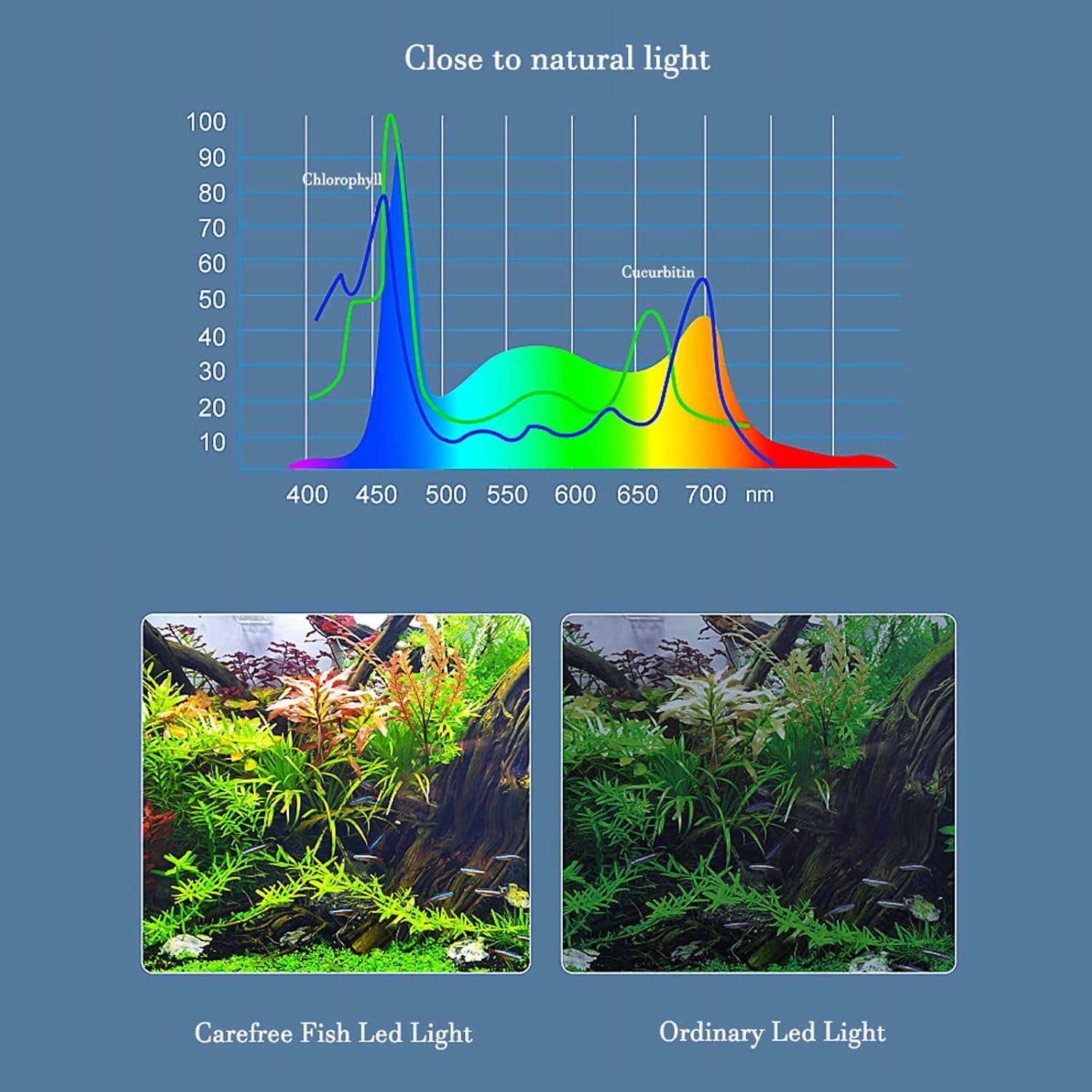Carefree Fish Aquarium LED Light USB 5V1A RGBW 5730 Timmer 5~10Gal Fish Tank Clip Light 10 Brightness Levels 8W with USB Port (Include UL Certification Power Adapter) - Happypetzone.online - Image 2