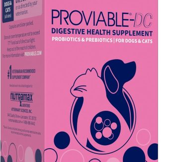 cat probiotic supplement