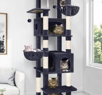 cat tree large