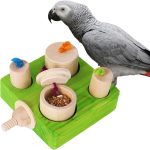 bird toys amazon best