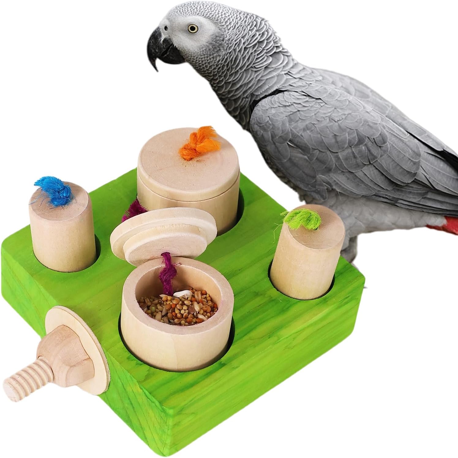 bird toys amazon best