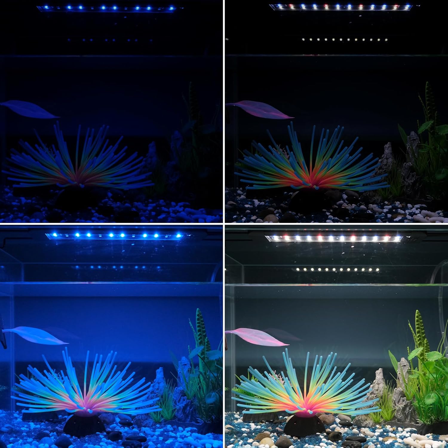 Pawfly 11W Aquarium LED Light for 12 to 18 Inch Fish Tanks Extendable Fish Tank Light with Full Spectrum Brilliant White Blue Red Lights with Daytime & Night Modes and Adjustable Brightness - Happypetzone.online - Image 8