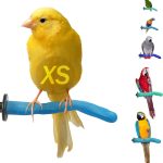 bird perch amazon best