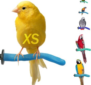 bird perch amazon best