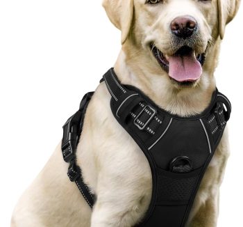 dog harness for large dogs