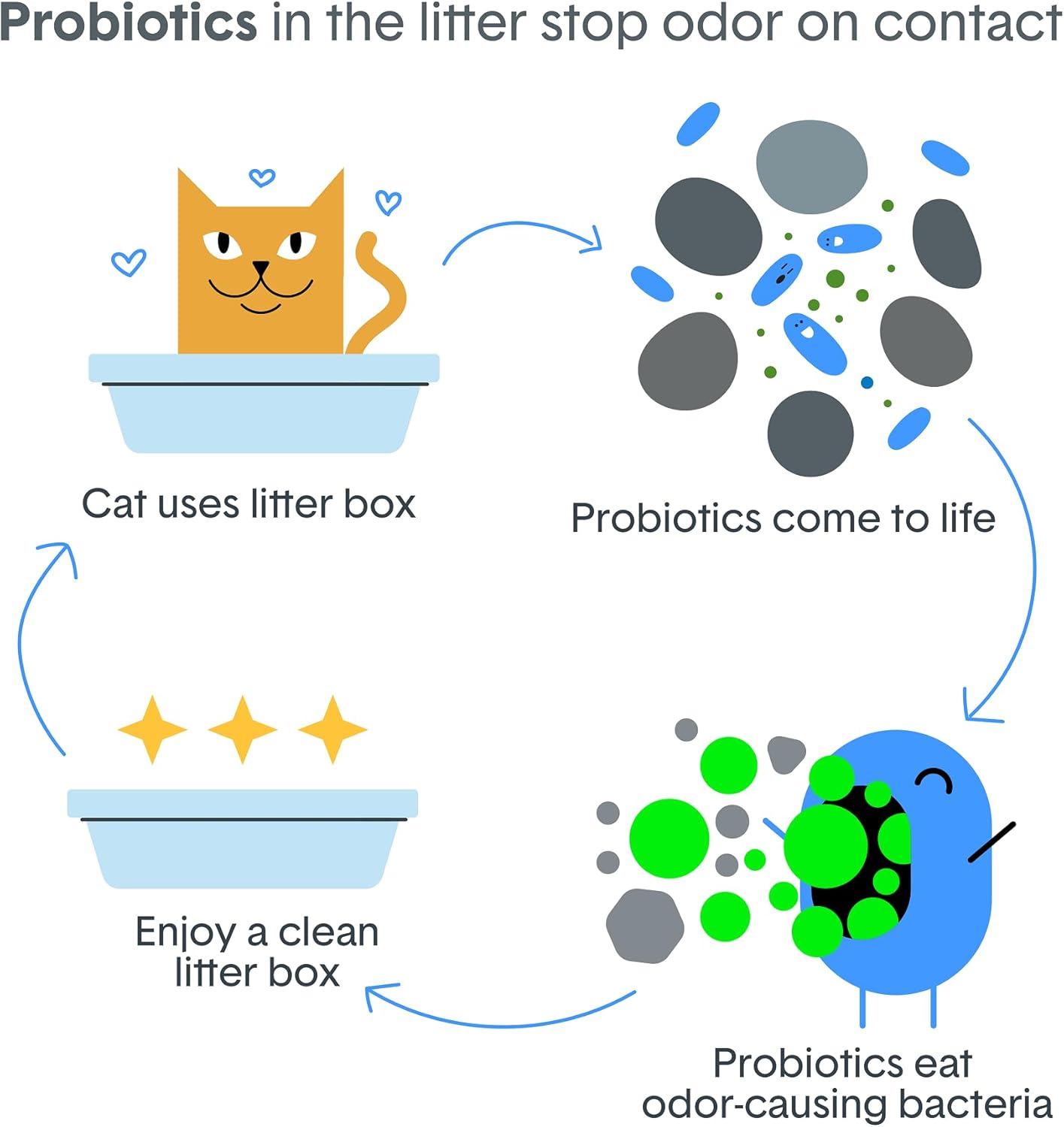 Boxie Probiotic Cat Litter, 40 Day Odor Control, Clumping Clay Kitty Litter, Odor Eliminating Probiotics, Dust-Free, No Fragrances No Fillers, 16 lb - Happypetzone.online - Image 6