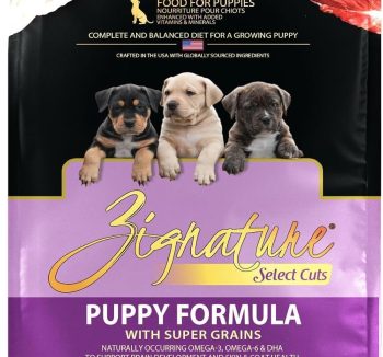 premium dog food amazon