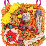 bird toys interactive
