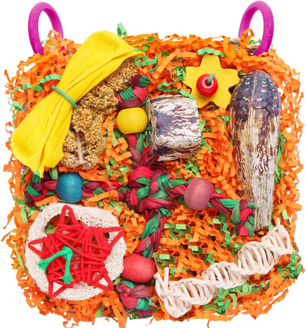 bird toys interactive