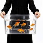 acrylic fish tank
