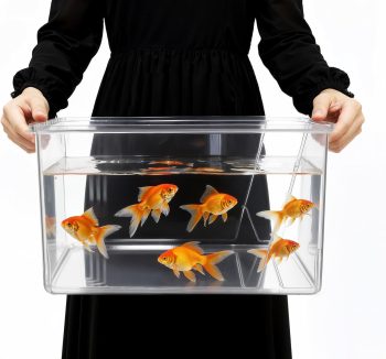 acrylic fish tank