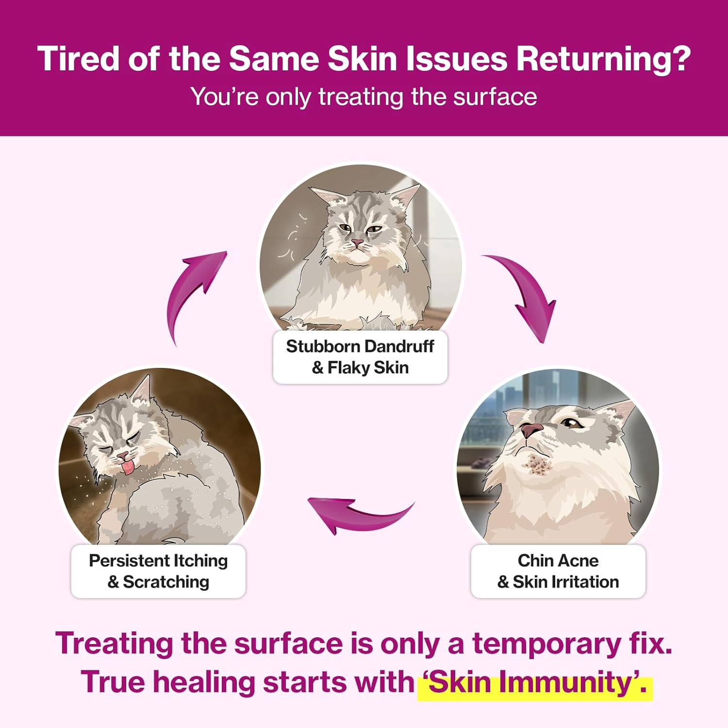 Doctor By Cat Silk Derma Skin and Coat Supplement for Cats Itch Skin Relief, Dandruff Treatment Scab, Overgrooming, Allergy Relief for Cats 30 lickable Formula Individually Packaged, Chicken(1 Pack) - Happypetzone.online - Image 5