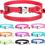 cat collar personalized