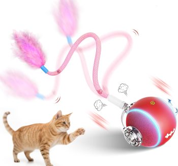 best cat toys